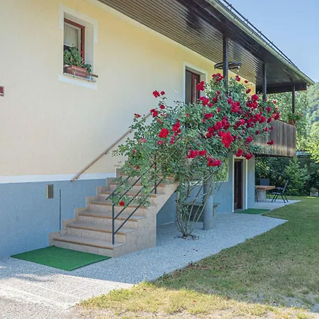 In - Sued-ost Slowenien 42908 *